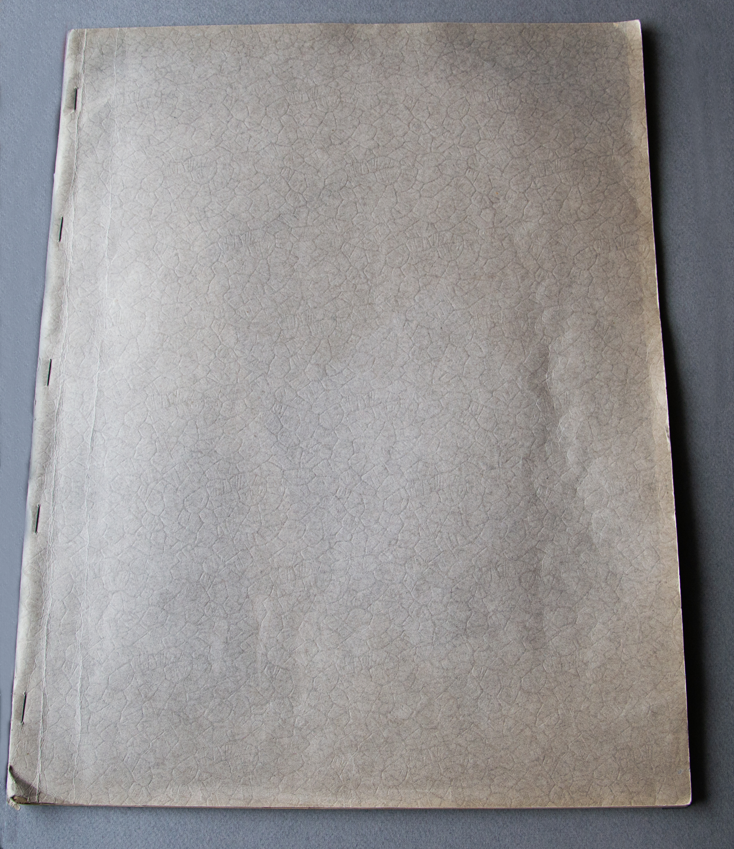 
               Ett foto av jultidningens framsida.
            